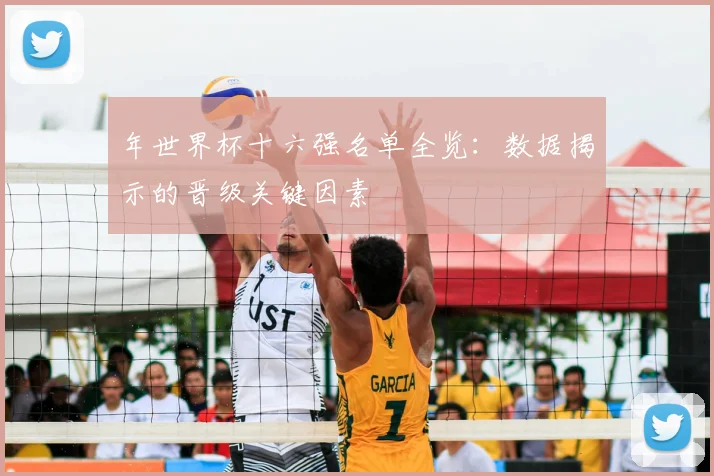 年世界杯十六强名单全览:数据揭示的晋级关键因素