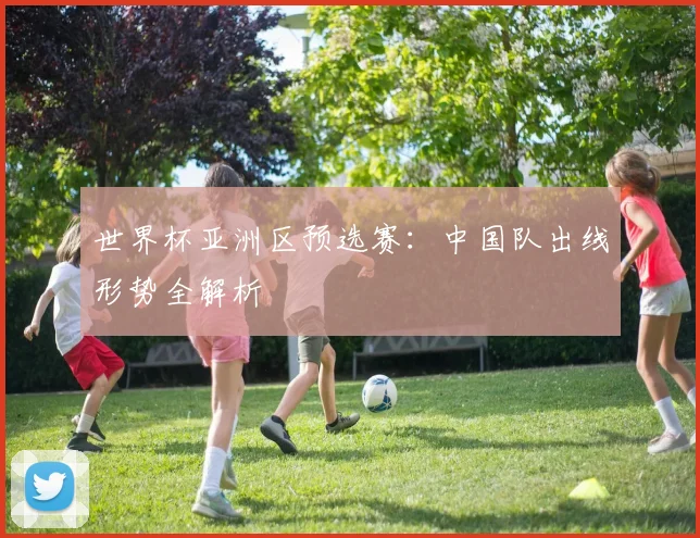 世界杯亚洲区预选赛：中国队出线形势全解析
