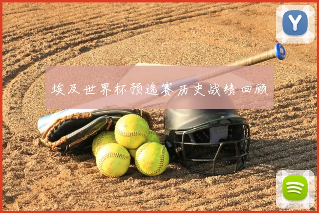 埃及世界杯预选赛历史战绩回顾