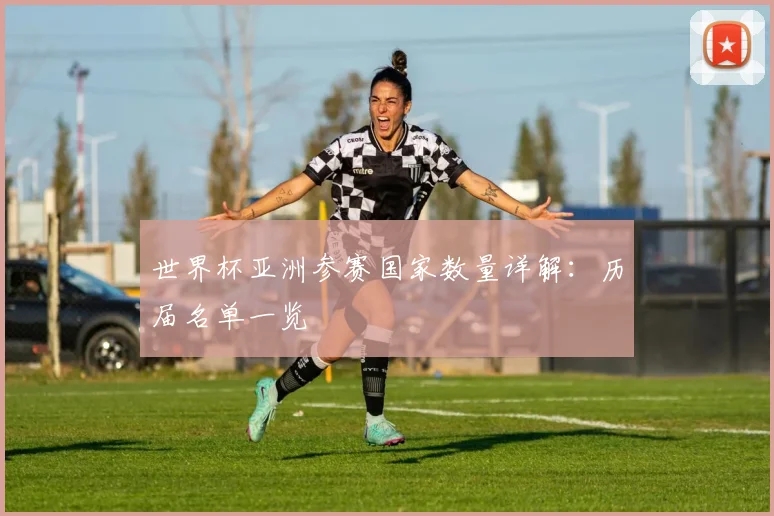 世界杯亚洲参赛国家数量详解：历届名单一览