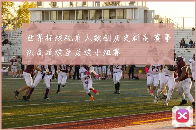 世界杯线观看人数创历史新高 赛事热度延续至后续小组赛