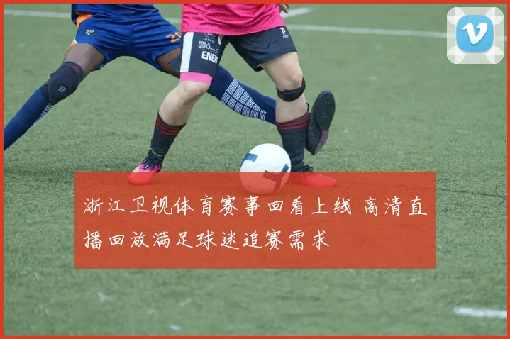 浙江卫视体育赛事回看上线 高清直播回放满足球迷追赛需求
