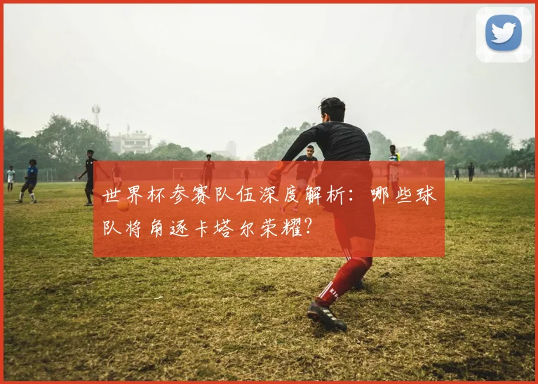 世界杯参赛队伍深度解析:哪些球队将角逐卡塔尔荣耀?