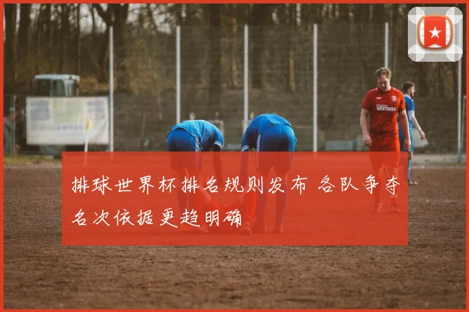 排球世界杯排名规则发布 各队争夺名次依据更趋明确