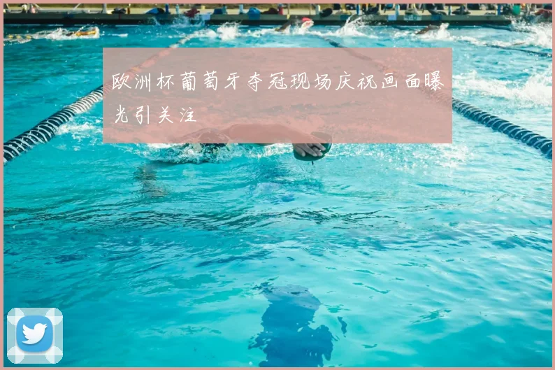 欧洲杯葡萄牙夺冠现场庆祝画面曝光引关注