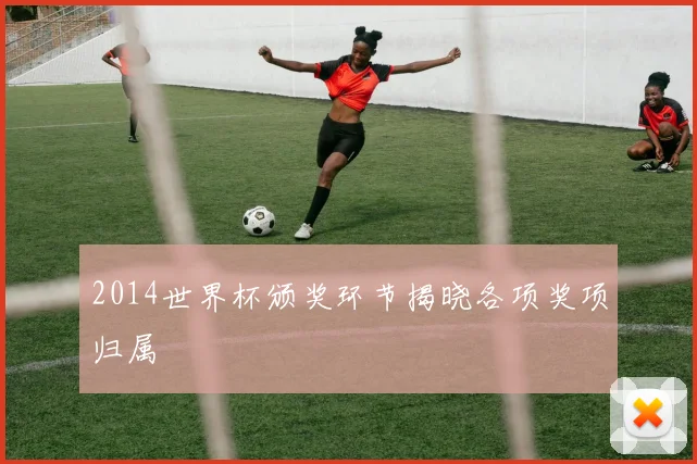2014世界杯颁奖环节揭晓各项奖项归属